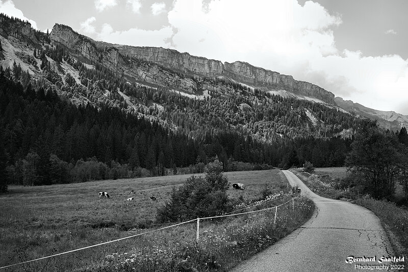 Bernhard Saalfeld - Allgaeu SW (2v9)